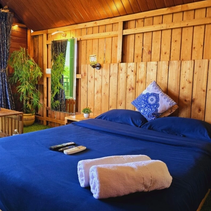 5tree house 700 x 700 (2)