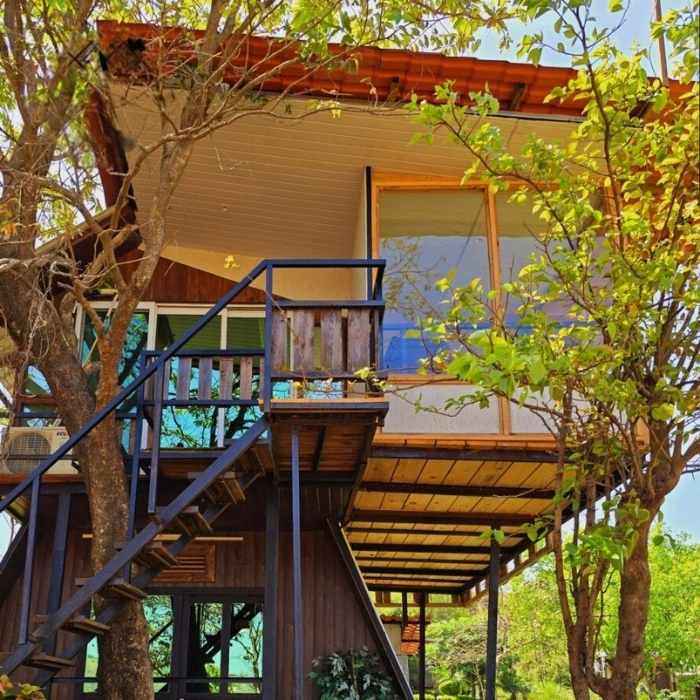 5tree house 700 x 700 (3)